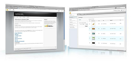 CONTENT MANAGEMENT SYSTEM